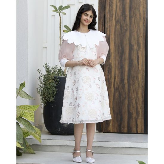 صورة فستان بناتي مطرز بأكمام شفافة | ياقة بيضاء ملكية - 1142